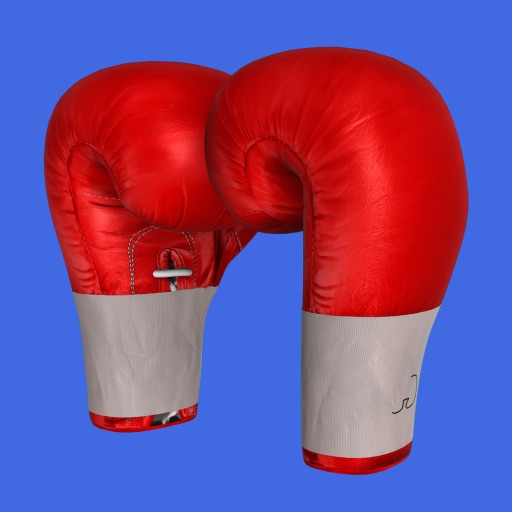 Boxing Trainer app icon